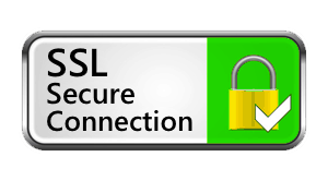 ssl logo