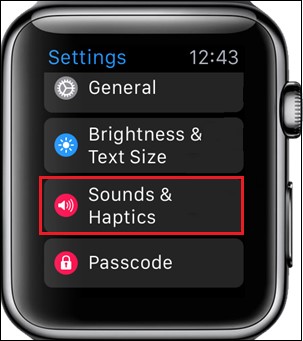 How To Mute Sounds On The Apple Watch