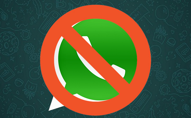 contact online but only one check on whatsapp